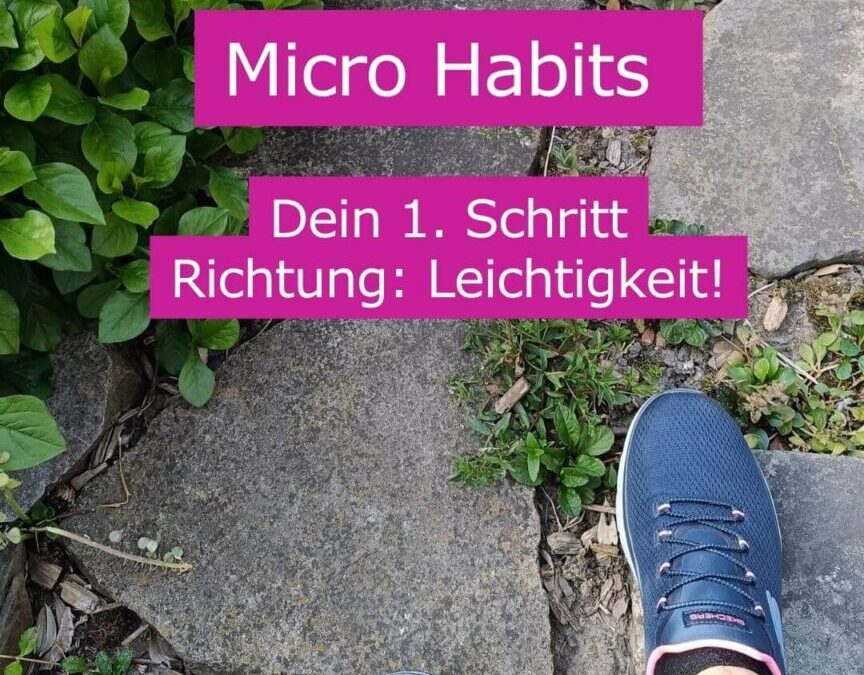 Ein Paar Sneakers auf einem Natursteinweg neben grünem Pflanzenbewuchs – symbolisch für den ersten kleinen Schritt mit Micro Habits hin zu mehr Struktur und Leichtigkeit im Alltag.
